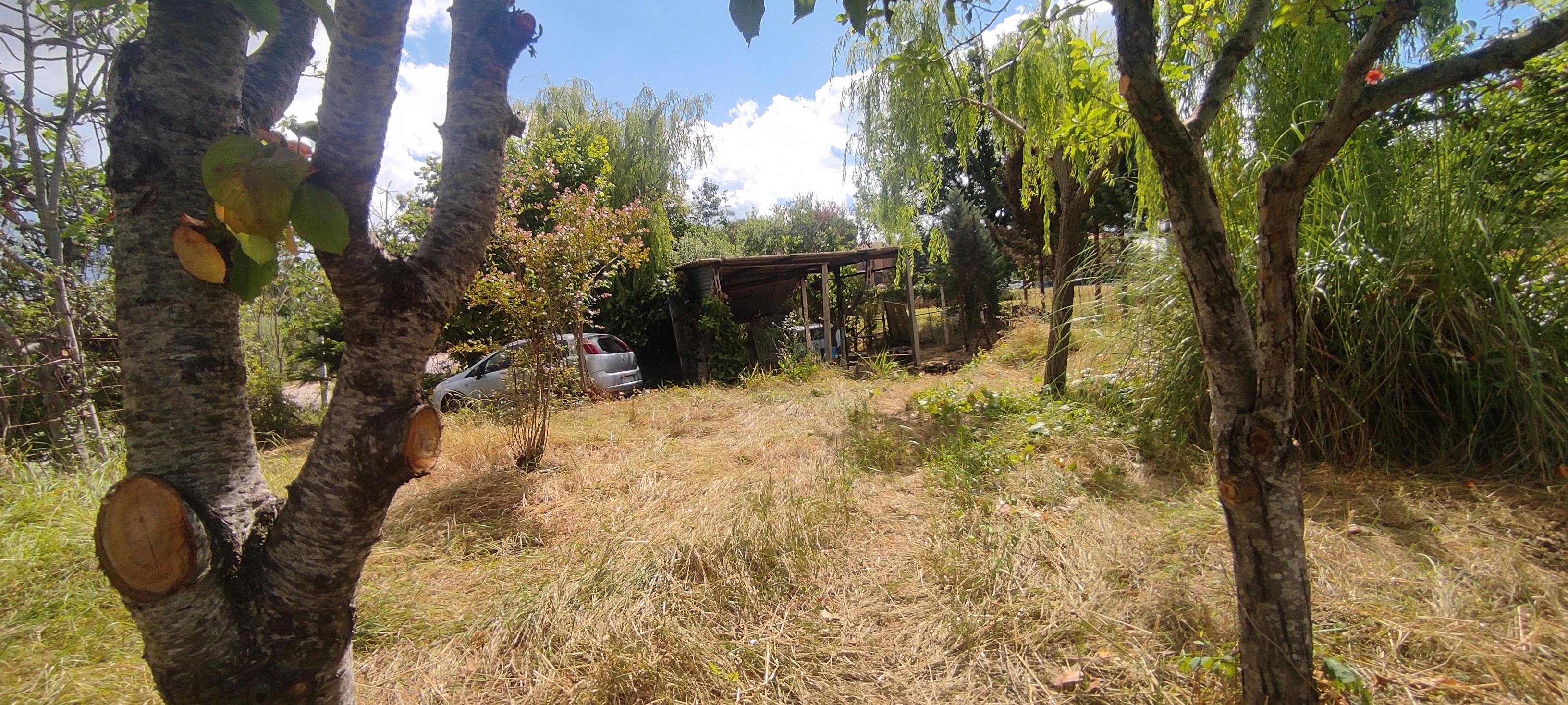 Terreno in Via Petrarca, Macchie PG a Castiglione del Lago — asta giudiziaria — fotografia 3