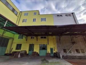 Opificio in Via Molini, 39 a Casale di Scodosia — asta giudiziaria — fotografia 5