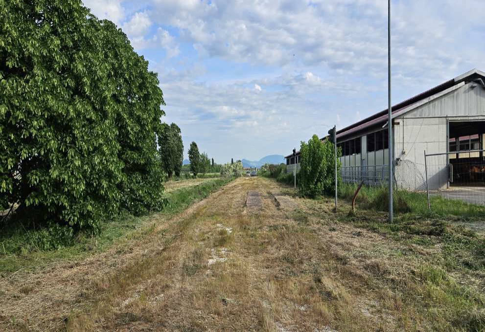 Terreno in Via Savellon, 80 a Granze — asta giudiziaria — fotografia 3