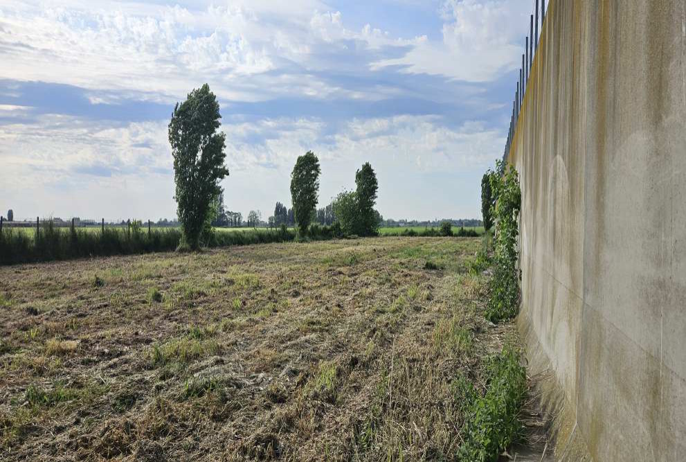 Terreno in Via Savellon, 80 a Granze — asta giudiziaria — fotografia 5