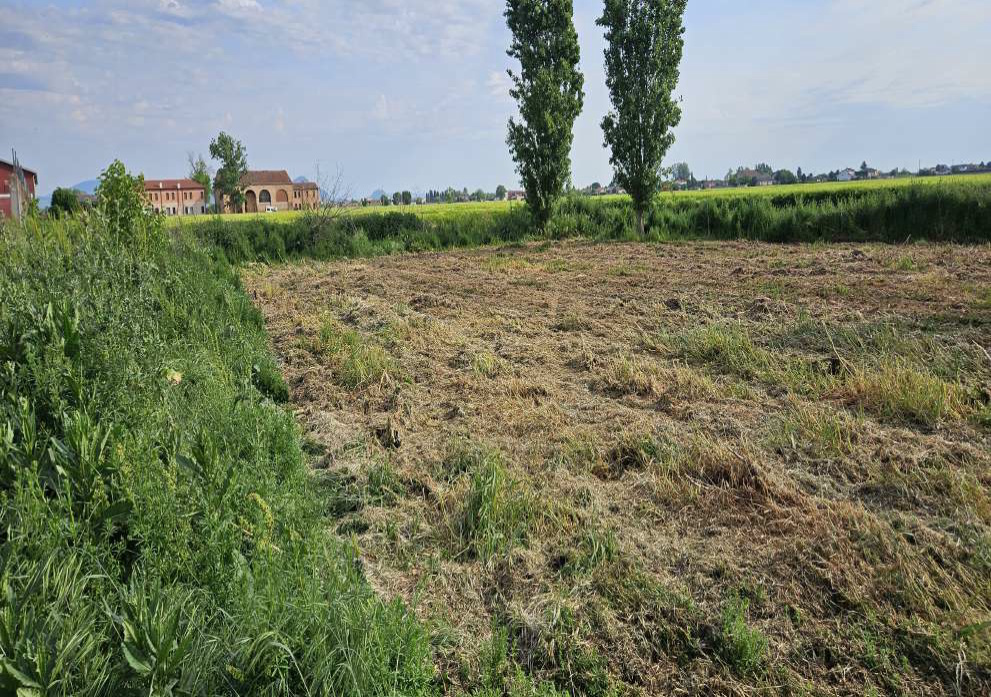 Terreno in Via Savellon, 80 a Granze — asta giudiziaria — fotografia 6