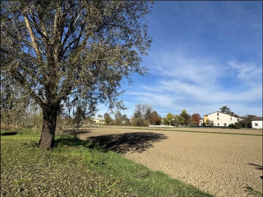 Terreno in Via I Maggio a San Possidonio — asta giudiziaria — fotografia 3