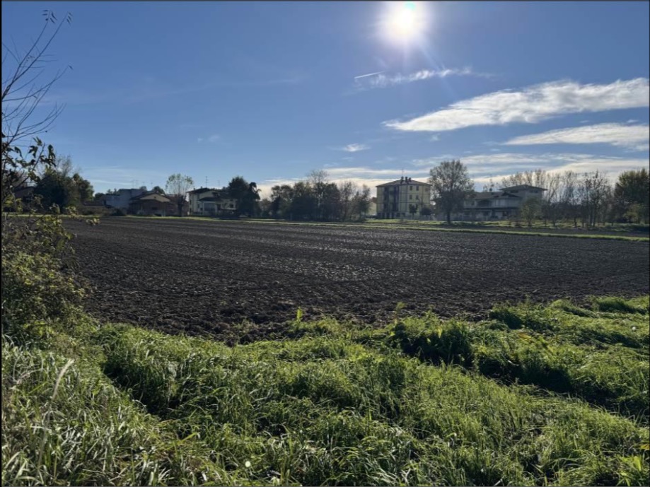Terreno in Via I Maggio a San Possidonio — asta giudiziaria — fotografia 4
