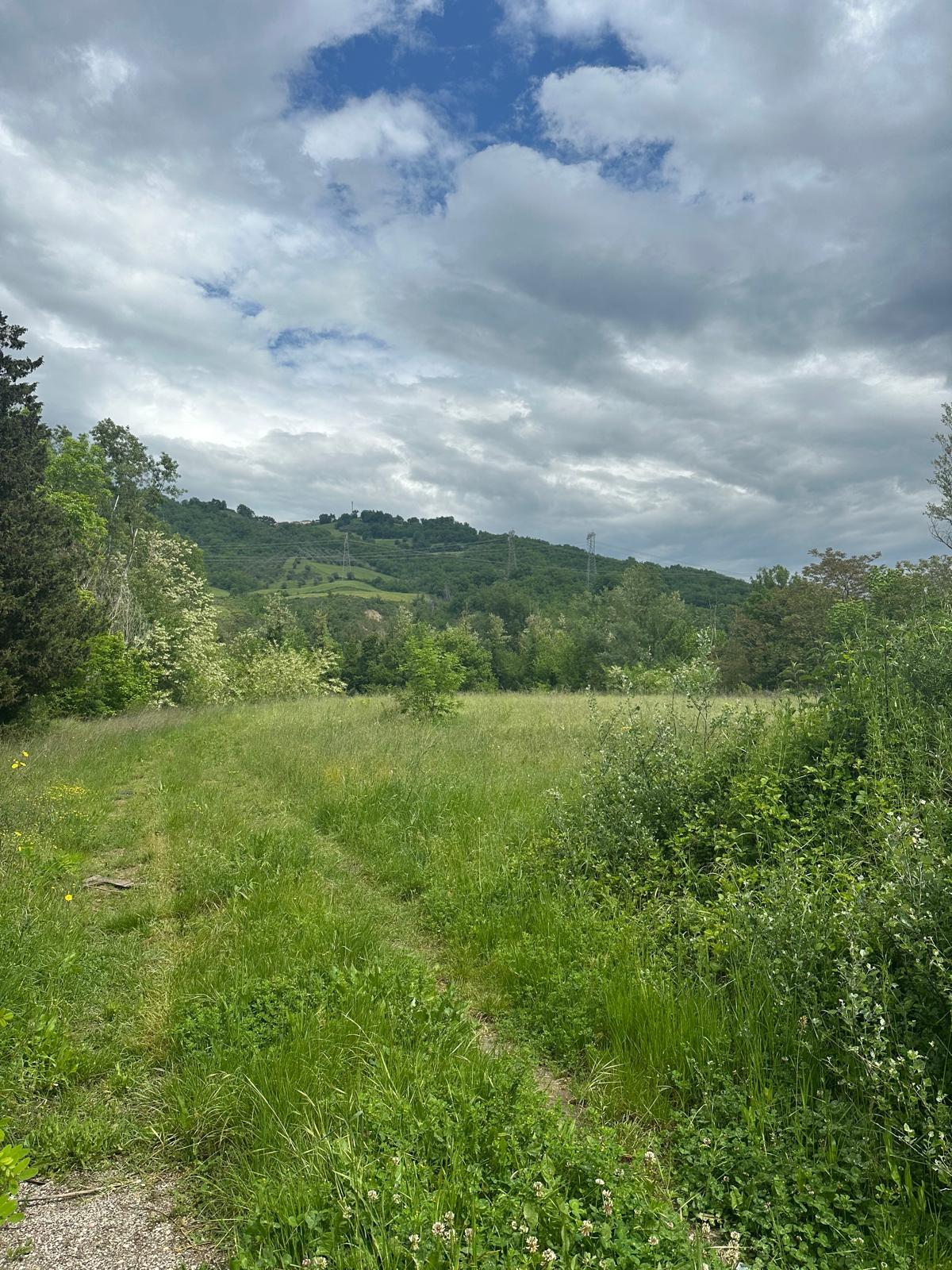 Terreno in Contrada Trinità a Montorio al Vomano — asta giudiziaria — fotografia 4