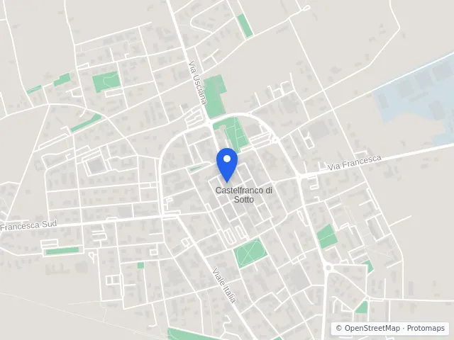 Mappa di Castelfranco di Sotto, Pisa