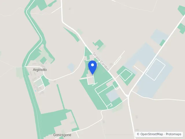 Mappa di Suzzara, Mantova