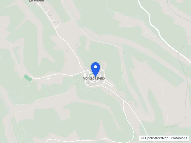 Mappa di Pontedera, Pisa