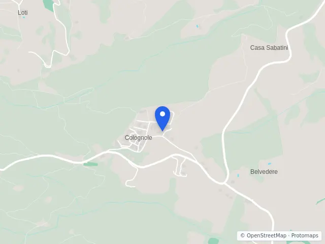 Mappa di Collesalvetti, Livorno