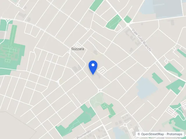 Mappa di Suzzara, Mantova