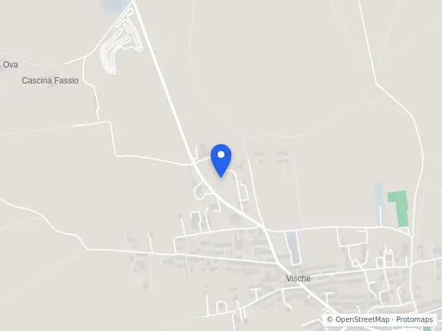 Mappa di Vische, Torino