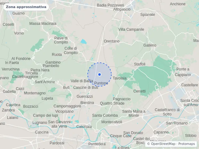 Mappa di Bientina, Pisa