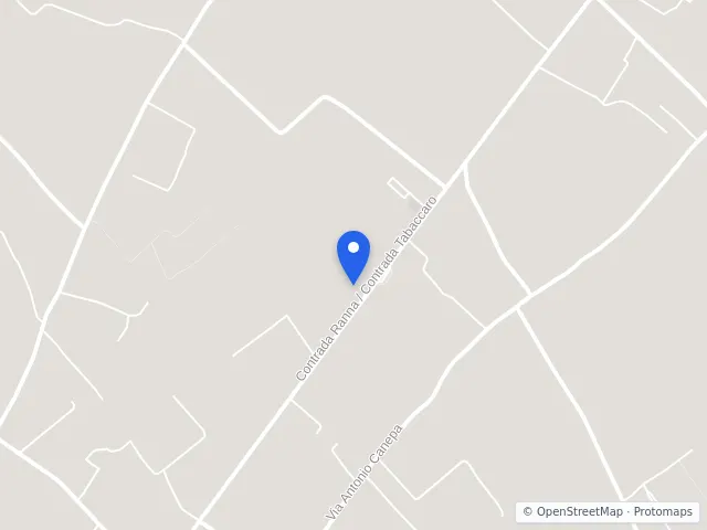 Mappa di questa asta