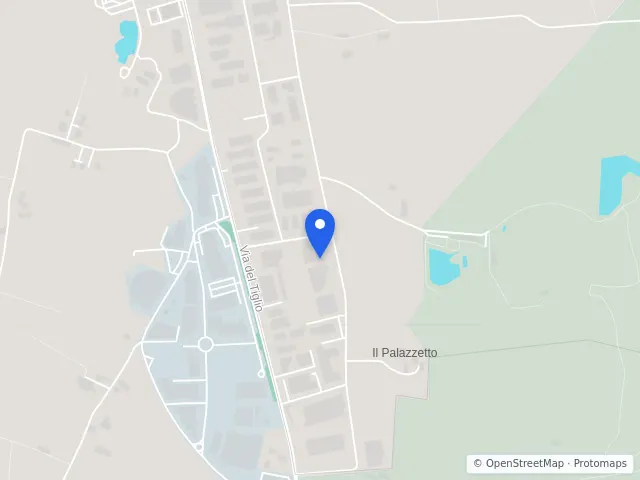 Mappa di Bientina, Pisa