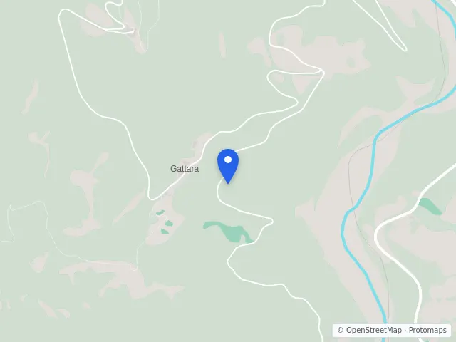 Mappa di questa asta