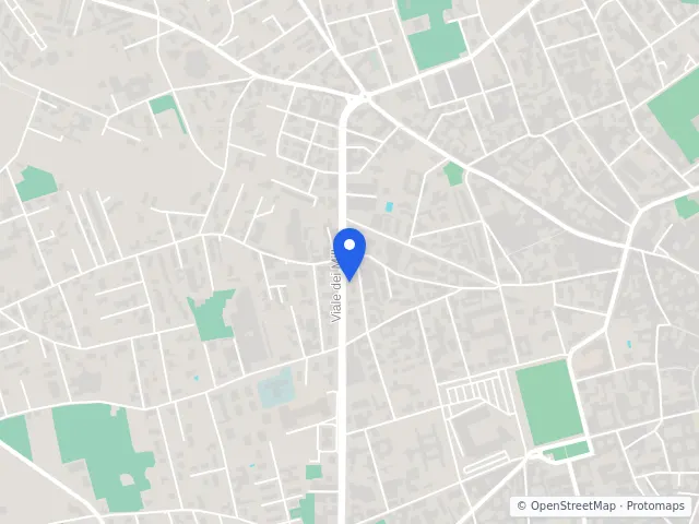Mappa di Vigevano, Pavia