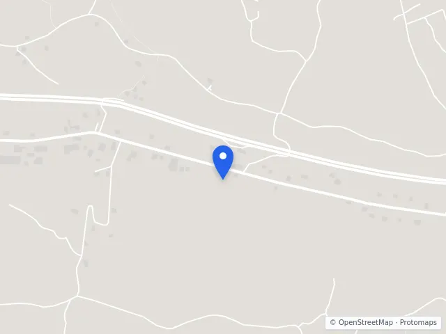 Mappa di questa asta