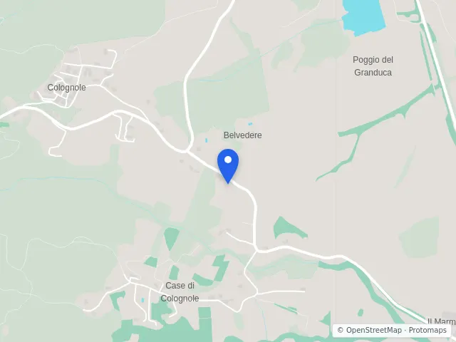 Mappa di Collesalvetti, Livorno