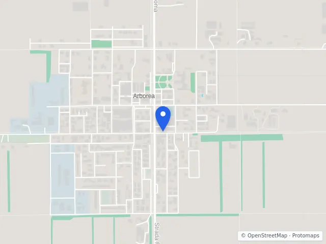 Mappa di Arborea, Oristano