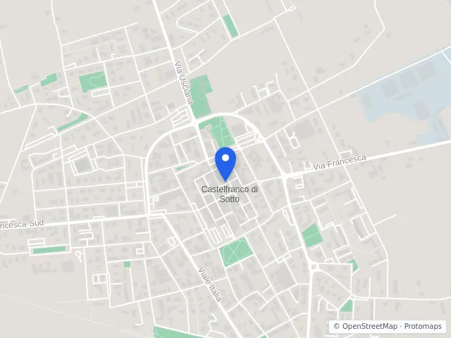 Mappa di Castelfranco di Sotto, Pisa