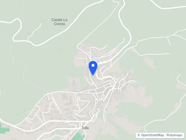 Mappa di Tolfa, Roma