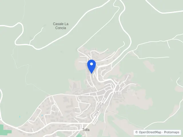 Mappa di Tolfa, Roma