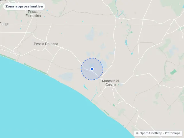 Mappa di Montalto di Castro, Viterbo